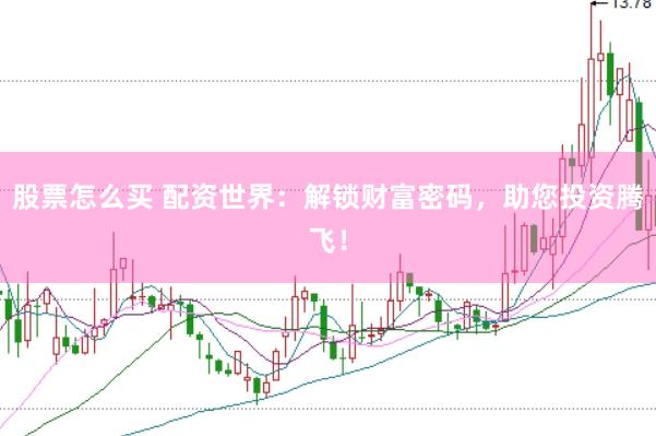 股票怎么买 配资世界：解锁财富密码，助您投资腾飞！