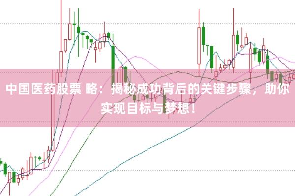 中国医药股票 略：揭秘成功背后的关键步骤，助你实现目标与梦想！