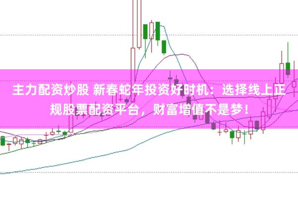 主力配资炒股 新春蛇年投资好时机：选择线上正规股票配资平台，财富增值不是梦！