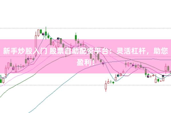 新手炒股入门 股票自助配资平台：灵活杠杆，助您盈利！