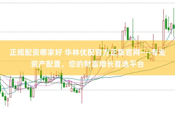 正规配资哪家好 华林优配官方正版官网——专业资产配置，您的财富增长首选平台