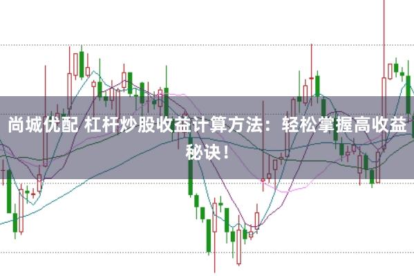 尚城优配 杠杆炒股收益计算方法：轻松掌握高收益秘诀！