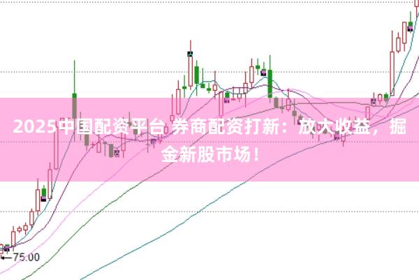 2025中国配资平台 券商配资打新：放大收益，掘金新股市场！