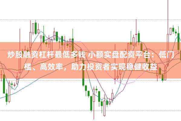 炒股融资杠杆最低多钱 小额实盘配资平台：低门槛、高效率，助力投资者实现稳健收益