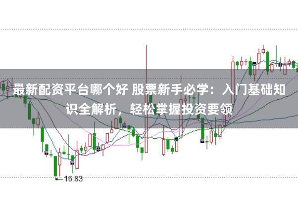 最新配资平台哪个好 股票新手必学：入门基础知识全解析，轻松掌握投资要领