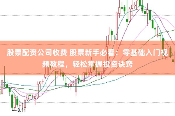 股票配资公司收费 股票新手必看：零基础入门视频教程，轻松掌握投资诀窍