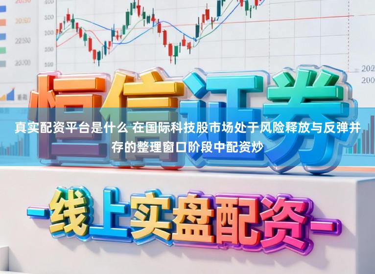 真实配资平台是什么 在国际科技股市场处于风险释放与反弹并存的整理窗口阶段中配资炒
